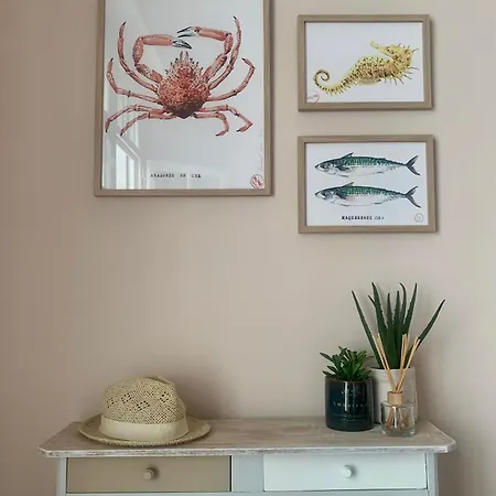Front De Mer Magnifique 2 Apartment *